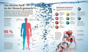Der Mensch besteht zu 65% aus Wasser und zu 18% aus Kohlenstoff. Weitere Elemente wie Sauerstoff, Stickstoff und Wasserstoff sind essenziell.