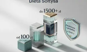 Dieta Sołtysa: od 100 zł do 1500+ zł. Zrozum, ile zarabia sołtys i jakie są zwolnienia podatkowe do 3000 zł.