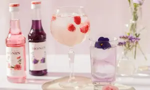 Dwa Monin syropy, malinowy drink w kielichu i fioletowy w szklance. Najprostsze drinki na lato.