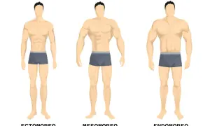 Tre fisici maschili: ectomorfo snello, mesomorfo muscoloso, endomorfo robusto.