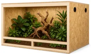 Gdzie kupić terrarium? Najlepsze miejsca i oferty w Polsce