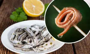 Rolowana ryba anchois na wykałaczce i talerz z marynowanymi rybkami, cytryną i natką pietruszki.