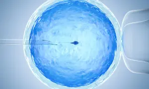 Sperm zbliża się do komórki jajowej. Precyzyjne narzędzia laboratoryjne wspierają przygotowanie do in vitro, tworząc szansę na nowe życie.