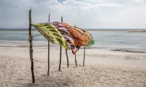 Atrakcje turystyczne Kenii: Safari, plaże i Twój przewodnik marzeń