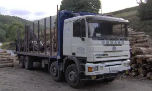 Camion Pegaso blanc avec grue, chargé de bois, garé près d'une pile de troncs.