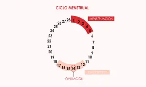 Diagrama del ciclo menstrual, mostrando la menstruación, los días fértiles y cuándo ovula una mujer, alrededor del día 14.