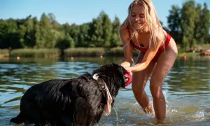 Radosne mazury z psem. Dziewczyna w czerwonym stroju kąpielowym bawi się z czarnym psem w jeziorze.