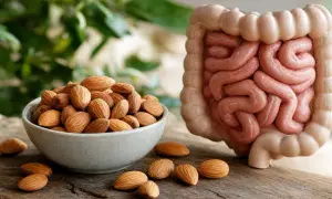 Mandorle in una ciotola accanto a un modello di intestino. Le mandorle fanno andare in bagno, grazie alle fibre che aiutano la digestione.
