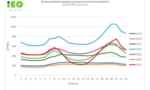 Wykres przedstawia średnie godzinowe ceny energii elektrycznej na giełdzie w latach 2019-2025, pokazując ich zmienność w ciągu doby.
