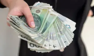 Pieniądze z OFE po śmierci męża. Czy dostanę je do ręki? Stos banknotów w dłoni.