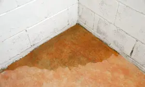 Ecke eines Kellers mit Wasser auf dem Boden und an den weißen Ziegelwänden. Ein Wasserschaden im Keller? Was tun?