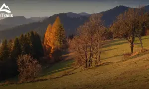 Łomnica-Zdrój: Atrakcje, szlaki i pomysły na Twój urlop