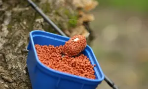 Niebieskie pudełko z zanętą, na niej uformowana kulka z haczykiem i białą przynętą. W tle wędka i kora drzewa. Idealne na maros.