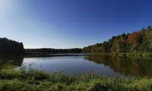 Spokojne jezioro otoczone jesiennym lasem, z widocznym brzegiem porośniętym trawą.