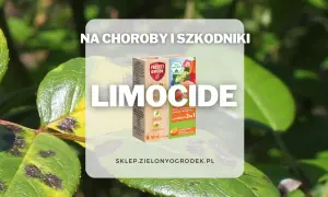 Chore liście z plamami, obok pudełko Limocide 3w1 na choroby i szkodniki roślin ozdobnych, owoców i warzyw.