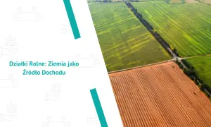 Widok z lotu ptaka na pola uprawne, zielone i zaorane, sugerujący, co opłaca się uprawiać na 1 ha.