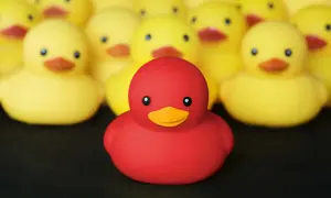 Un patito feo rojo destaca entre una multitud de patitos amarillos, todos listos para un baño.