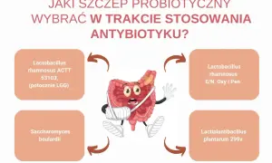 Jaki probiotyk przed czy po antybiotyku? Grafika pokazuje jelita w opasce, sugerując, że probiotyki mogą pomóc w ich regeneracji.