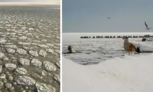 Czy Bałtyk zamarza? Fakty, historia i wpływ zmian klimatu