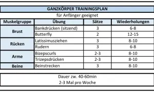 Ganzkörper Trainingsplan für Anfänger: Übungen für Brust, Rücken, Arme und Beine mit Sätzen und Wiederholungen. Ideal für Krafttraining.