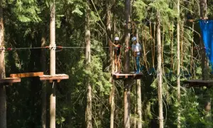 Park Linowy Stary Bór: Trasy, Cennik, Dojazd Planuj Przygodę!
