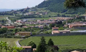 Panoramica di Affi, con case dai tetti rossi, vigneti e colline verdi. Un luogo incantevole da esplorare.