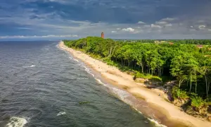 Plaża nad Bałtykiem z lasem sosnowym i latarnią. Woda, choć ma niższe zasolenie Bałtyku, faluje przy brzegu.