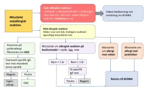 Flödesschema för misstänkt matallergisk reaktion hos barn. Utredning av allergi, inklusive IgE-test, för att fastställa allergi.