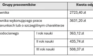 Co to jest odpis na ZFŚS i jak wpływa na pracowników i pracodawców