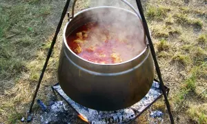 Gotuje się pyszny kociołek z mięsem i kapustą nad ogniskiem. Para unosi się z garnka, zapowiadając smakowity posiłek.