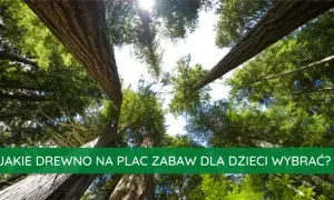 Jakie drewno na plac zabaw? Wybierz najtrwalsze i bezpieczne opcje