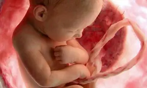 Czy pępowina rośnie wraz z rozwojem dziecka? Odkryj jej znaczenie