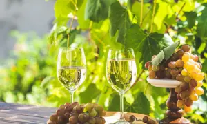 Deux verres de vin blanc frais, des grappes de raisins et un tire-bouchon sur une table en bois, parfait pour une visite à Saint-Émilion.
