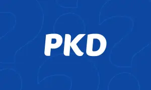 Jak dodać PKD przez internet - uniknij błędów i zrób to łatwo
