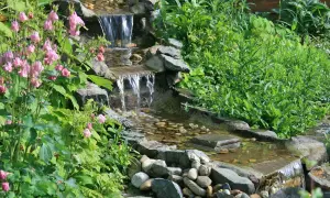 Ein kleiner Wasserfall im Garten, umgeben von grünen Pflanzen und rosa Blüten. Tolle Ideen für einen naturnahen Garten.