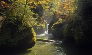 Ein versteckter isny wasserfall, umgeben von moosbewachsenen Felsen und herbstlichem Laub, fließt durch eine schattige Schlucht.