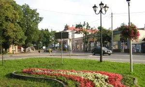 Kwiatowa rabata i uliczny krajobraz Sokołowa Podlaskiego. Atrakcje miejskie w letnim słońcu.