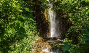 Cascate del Menotre, un'oasi verde dove l'acqua scende tra rocce e vegetazione lussureggiante, creando un paesaggio incantevole.