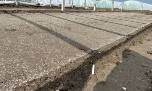 Skuteczne odkażanie gleby: Naturalnie czy chemicznie?