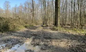 Enduro w Île-de-France: Najlepsze trasy i porady dla motocyklistów