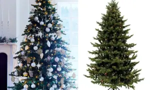 Två julgranar, en dekorerad med silverkulor och stjärnor, den andra enbart med ljusslinga. Granen dricker inte vatten, men sprider julglädje.