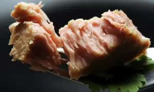 Kawałek tuńczyka z puszki na widelcu, z listkiem pietruszki. Czy pies może jeść tuńczyka z puszki?