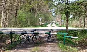 Dwa rowery czekają na odkrycie tras rowerowych Tarnów. Leśna droga zaprasza do przygody.