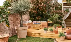 Eine **Terrasse mediterran gestalten** mit Olivenbaum, Zitruspflanzen und vielen Kräutern in Terrakotta-Töpfen. Holzdeck und Steinmauer schaffen südländisches Flair.