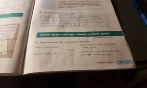 Słownik wyrazów obcych – odkryj najważniejsze informacje i zasoby