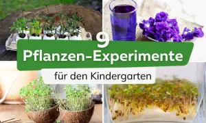 Spannende natur experimente für kinder: Keimlinge in Kokosnusshälften, Pflanzen in Eierschalen und ein lila Getränk aus Blüten.