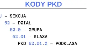 Kto nadaje numer pkd i jak uniknąć błędów przy rejestracji?