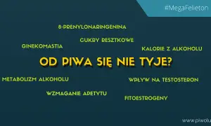 Piwo tuczy? Rozwiewamy mity! Jak pić i nie tyć?