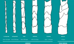 Porównanie grubości włókien: ultrafine, superfine, fine, medium, strong (merino) i broad (inna wełna). Czy wełna merino się rozciąga? Tak, dzięki swojej strukturze.