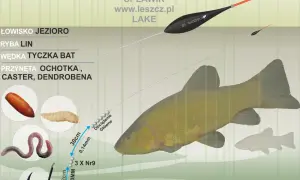 Zestaw na płoć: żyłka, haczyk, przynęty (ochotka, caster, dendrobena) i spławik do łowienia linów na jeziorze.